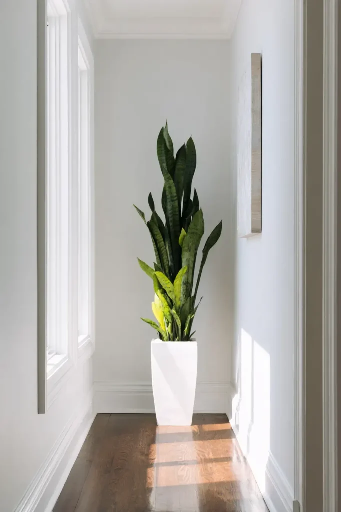 17. Add One Slim Plant for Life and Color