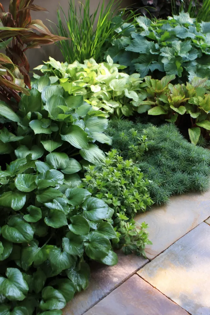 2. Limit Your Colour Palette to 2 or 3 Choices