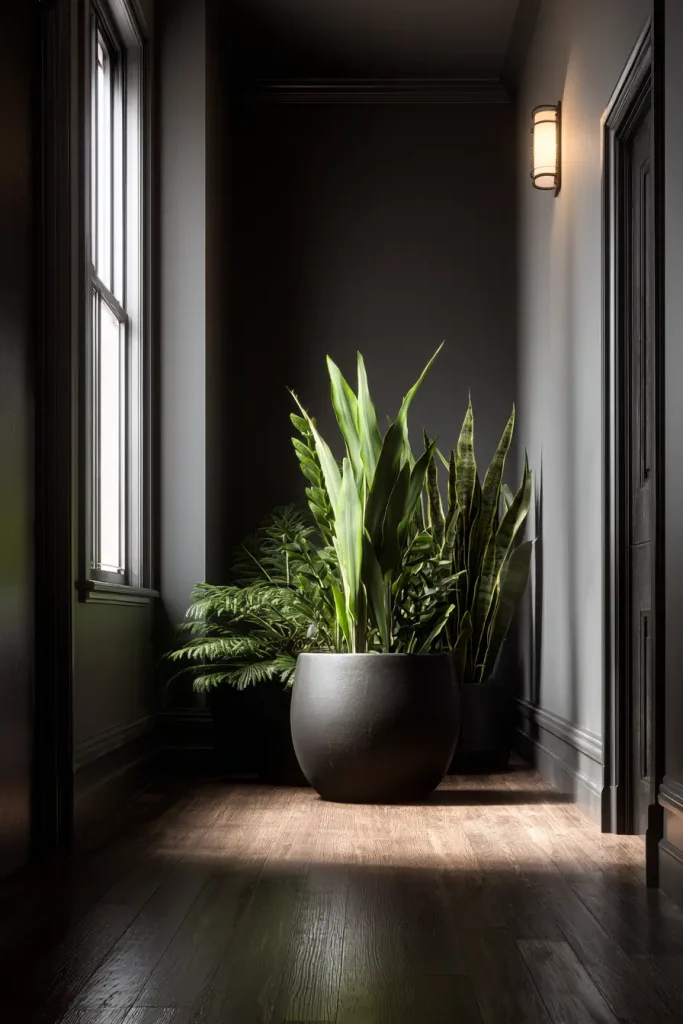 9. Bring in Plants — Dark Spaces Need Living Things