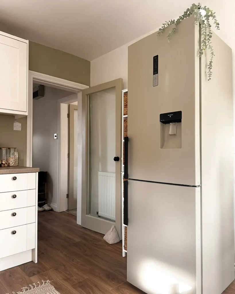 12. The Appliance Face‑Lift